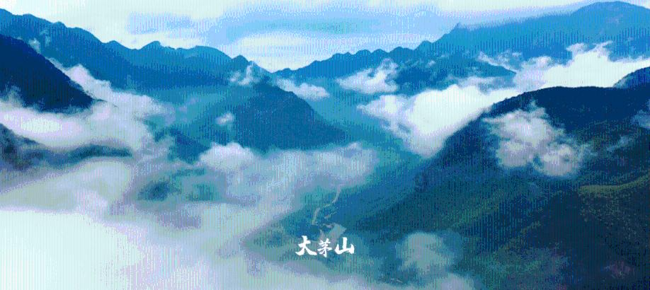 悬案：刹那惊颤